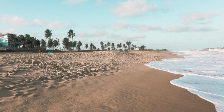 Alerta nas praias: espécie com veneno fatal é encontrada neste país