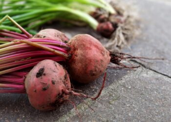 Beterraba crua ou cozida? Descubra o melhor para conservar os nutrientes