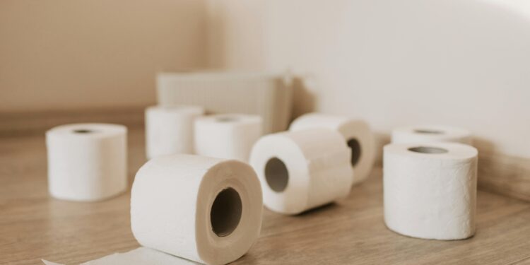 Adeus ao papel higiênico: a nova alternativa para banheiros que já é tendência em todo o mundo
