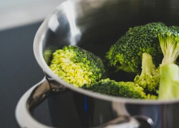 Foto: Castorly Stock/Pexels
