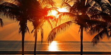 Foto: Divulgação/Instagram/Isla Pasion Mx