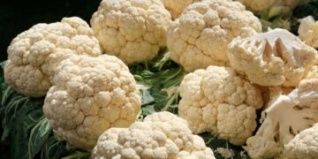 Foto: Yusuf Çelik/Pexels