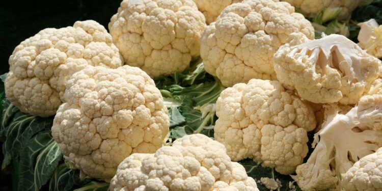 Foto: Yusuf Çelik/Pexels