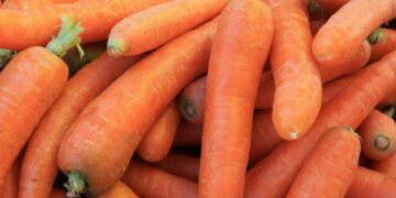 Foto: Mauro Fossati/Unsplash