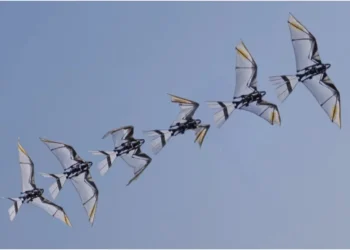 Espiões? Na China, robôs voam pelas ruas e se "disfarçam" de pássaros reais