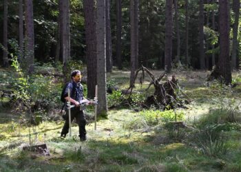 Cidade medieval de 700 anos é encontrada escondida no meio da floresta