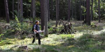 Cidade medieval de 700 anos é encontrada escondida no meio da floresta