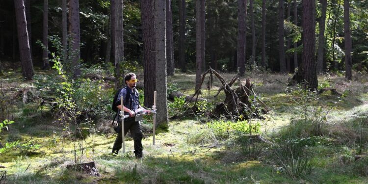 Cidade medieval de 700 anos é encontrada escondida no meio da floresta