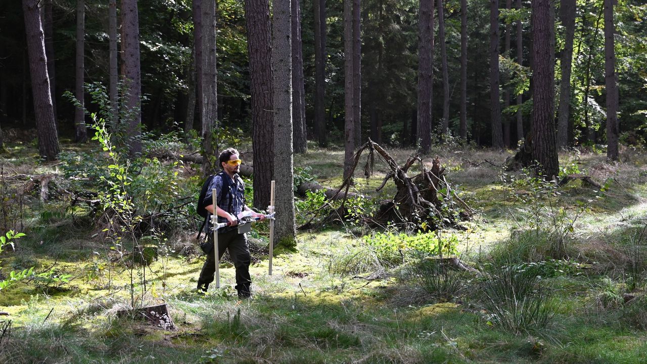 Cidade medieval de 700 anos é encontrada escondida no meio da floresta