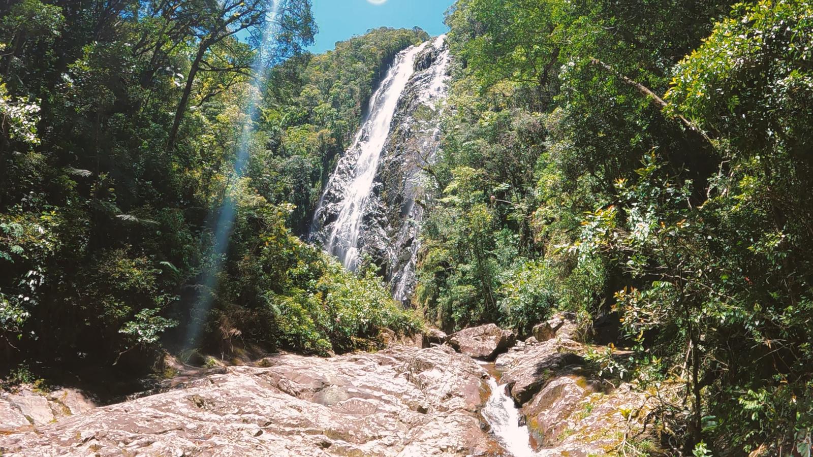 Gigante de 100 metros está escondida em uma floresta do Brasil e quase ninguém sabe