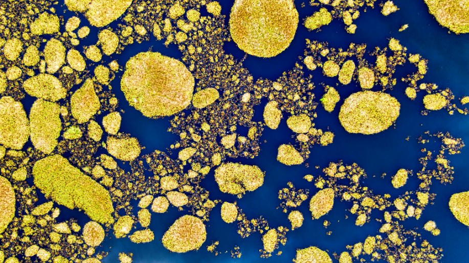 8 em cada 10 pessoas serão infectadas por este vírus, apontam especialistas