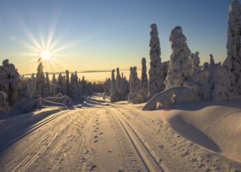 No país mais feliz do mundo, as crianças andam sozinhas e a corrupção quase não existe