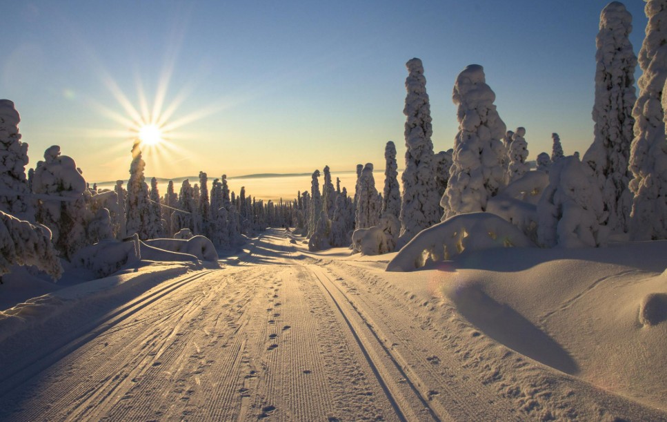 No país mais feliz do mundo, as crianças andam sozinhas e a corrupção quase não existe