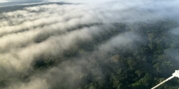 Amazônia