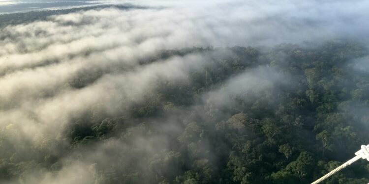 Amazônia