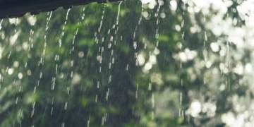 Por que sentimos o cheiro da chuva? A ciência explica
