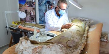 dinossauro