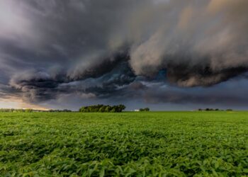 Reprodução: Unsplash / Dave Hoefler