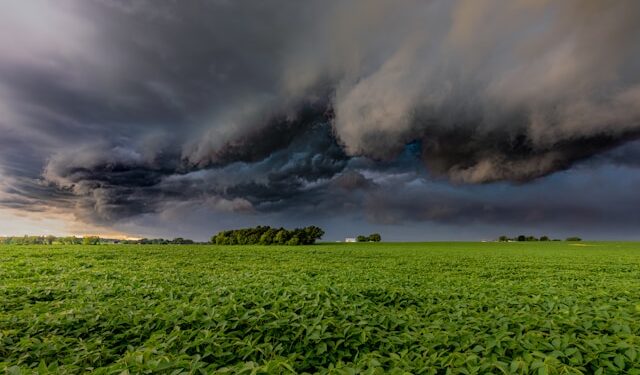 Reprodução: Unsplash / Dave Hoefler