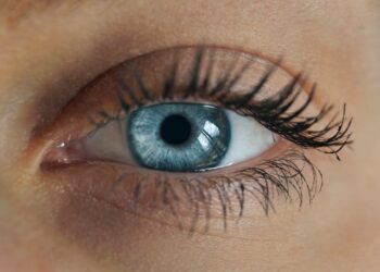 Reprodução: Unsplash / Dimitar Krastev