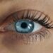 Reprodução: Unsplash / Dimitar Krastev