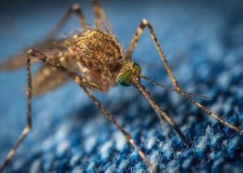 Reprodução: Unsplash / Егор Камелев