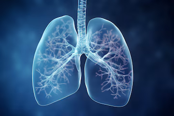 Doença silenciosa: milhões no Brasil têm bactéria que atinge o pulmão sem saber