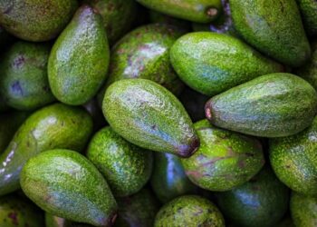 Reprodução: Unsplash / Hitoshi Namura