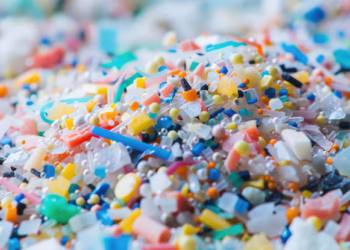 Um novo estudo descobriu que este alimento popular remove microplásticos do corpo humano