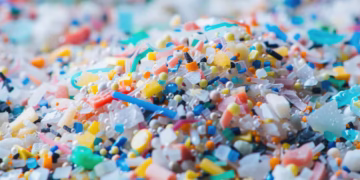 Um novo estudo descobriu que este alimento popular remove microplásticos do corpo humano