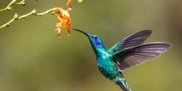 Reprodução: Unsplash / James Wainscoat