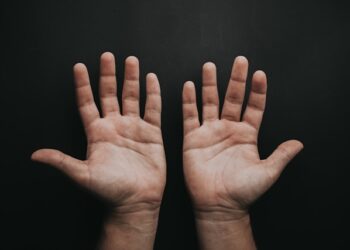 Reprodução: Unsplash / Luis Quintero