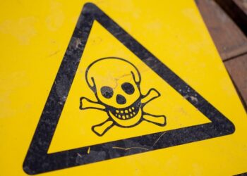 Reprodução: Unplash / Mikael Seegen