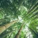 Reprodução: Unsplash / Pablo Azurduy