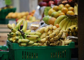 A fruta mais interessante do mundo pode estar em risco de extinção
