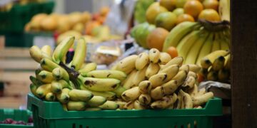 A fruta mais interessante do mundo pode estar em risco de extinção