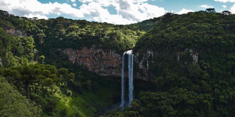 Turistas estrangeiros escolhem este estado como o principal destino no Brasil