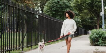 Governo cria multa de R$ 826 para quem sair com cachorro na rua sem seguir regra