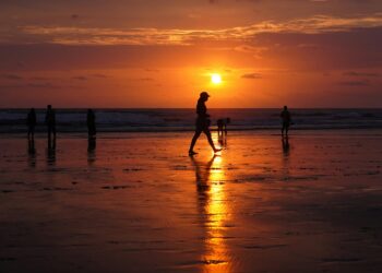 De onde surgiu a expressão “não há nada de novo sob o sol” e qual o significado real por trás disso?