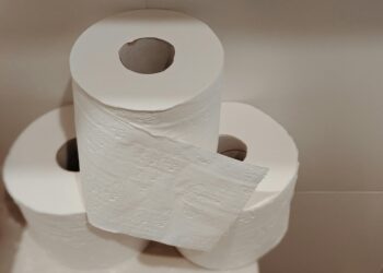 Governo fez alerta para todos cidadãos desse país sobre o papel higiênico