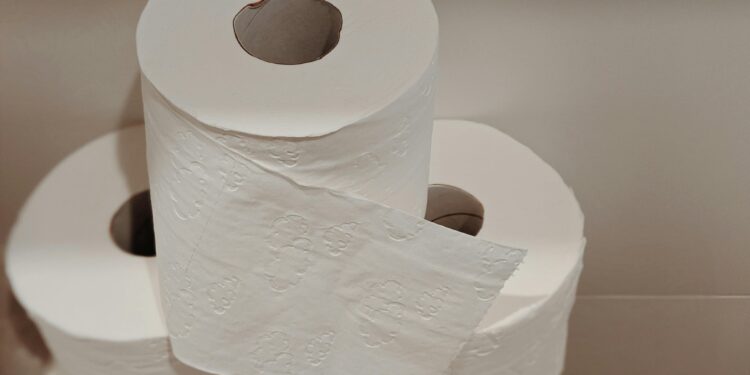 Governo fez alerta para todos cidadãos desse país sobre o papel higiênico