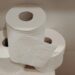 Governo fez alerta para todos cidadãos desse país sobre o papel higiênico