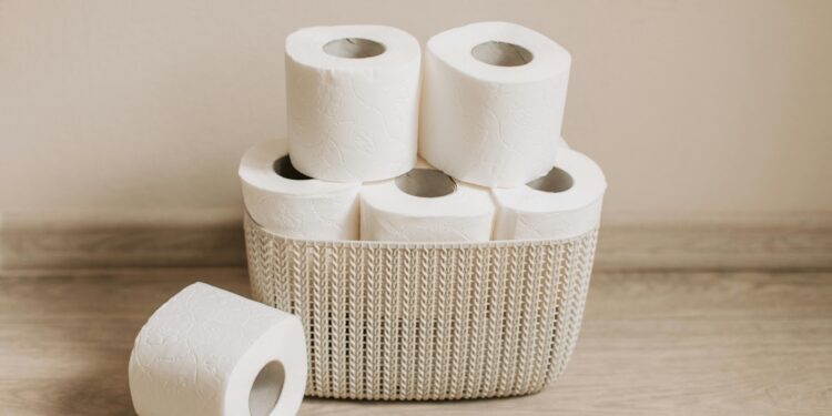 Este truque divertido com papel higiênico transforma seu banheiro em segundos