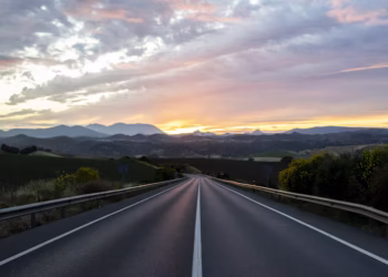 Solução inusitada nas rodovias chama atenção ao reduzir mortes de animais, neste país