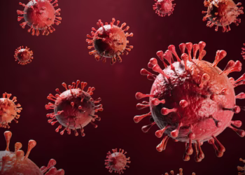 Estudo sugere que epidemia de vírus desconhecido atingiu milhões no Brasil