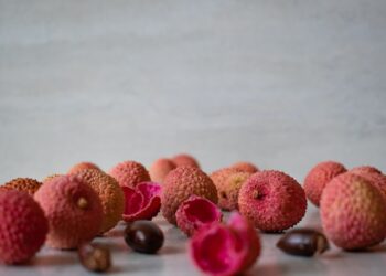 A lichia possui diversos nutrientes importantes para o organismo, podendo prevenir doenças crônicas.