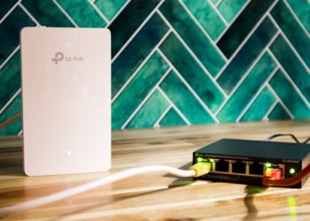 Reprodução: Unsplash / User Pascal