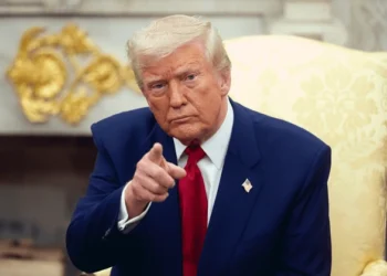 Reprodução: Shutterstock/Noamgalai