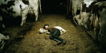 Quanto mais jovem a pessoa, maior tende a ser a necessidade de dormir.
Foto: Joseph John Kotlowski, National Geographic