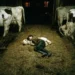Quanto mais jovem a pessoa, maior tende a ser a necessidade de dormir.
Foto: Joseph John Kotlowski, National Geographic